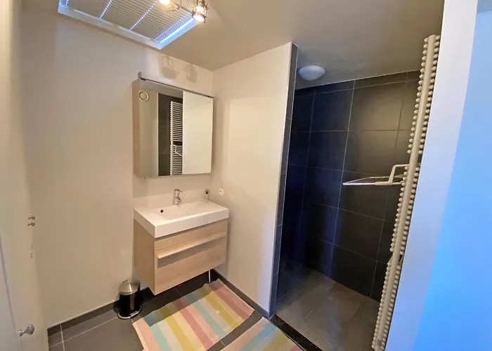 Novus Portus A 0502 Met Garage * Nieuwpoort